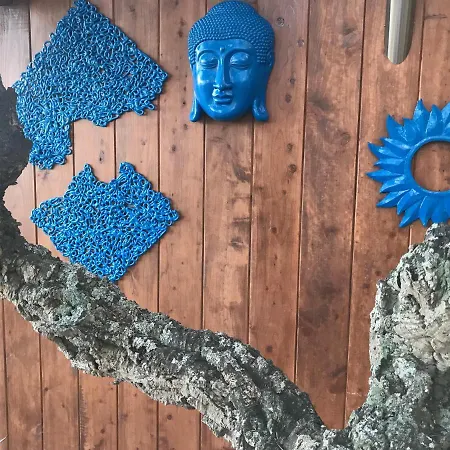 Chalet Domo Art&spa *